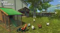 Скриншот куриц из Farming Simulator 2013