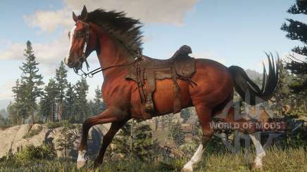 Как приручить лошадь в Red Dead Redemption 2