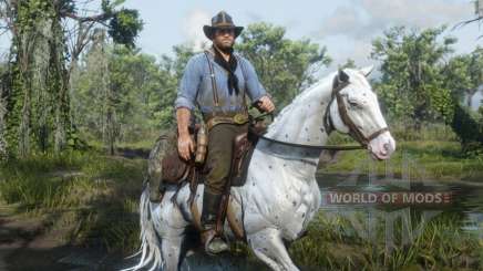 Red Dead Redemption 2: как почистить лошадь