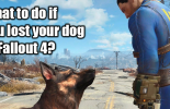 Если у вас пропала собака в Fallout 4