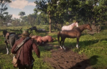 Red Dead Redemption 2: спасти лошадь