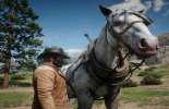 Red Dead Redemption 2: как почистить лошадь