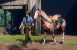 Лошадь в Red Dead Redemption 2: как приручить