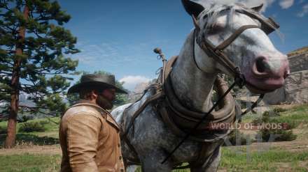 Как чистить лошадь в Red Dead Redemption 2 – советы по уходу