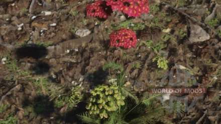 Red Dead Redemption 2 - где найти растение тысячелистник