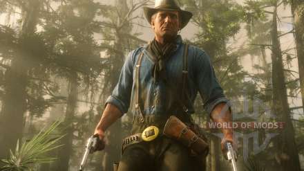 Гайд в Red Dead Redemption 2 – как пользоваться фоторежимом на ПК